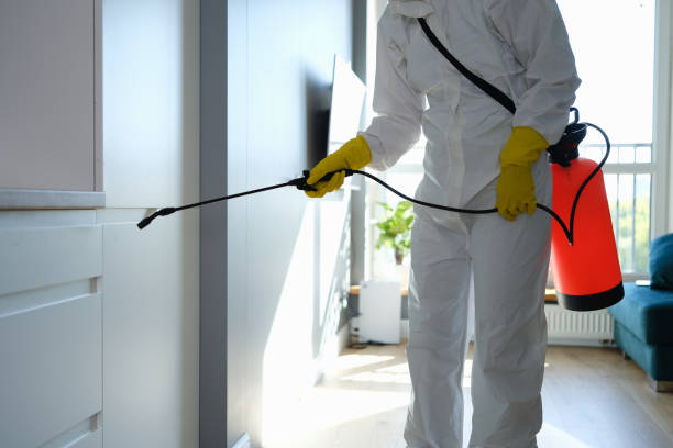 Reliable Blacklick Estates, OH Mold Remediation Solutions
